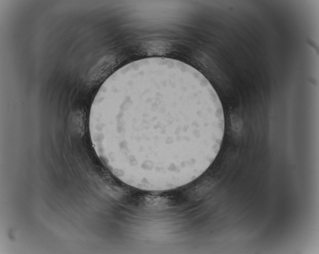 X0000101210311200807111039