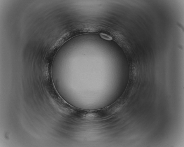 X0000101210312200807111039