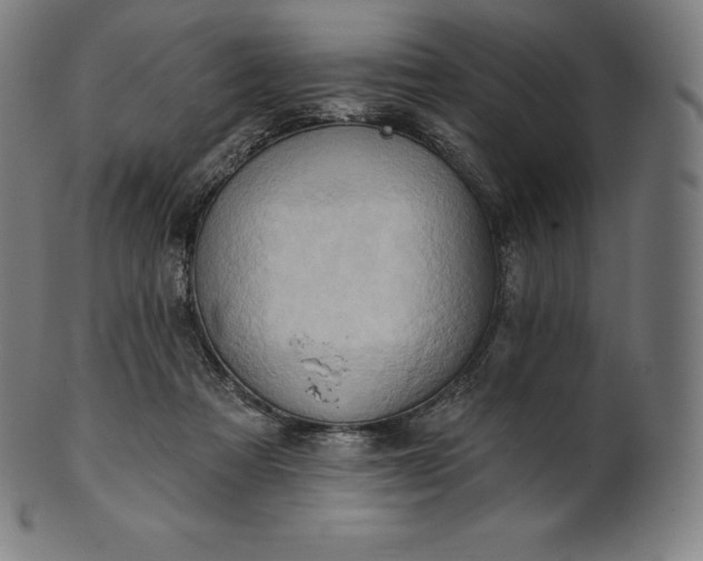 X0000101210313200807111039