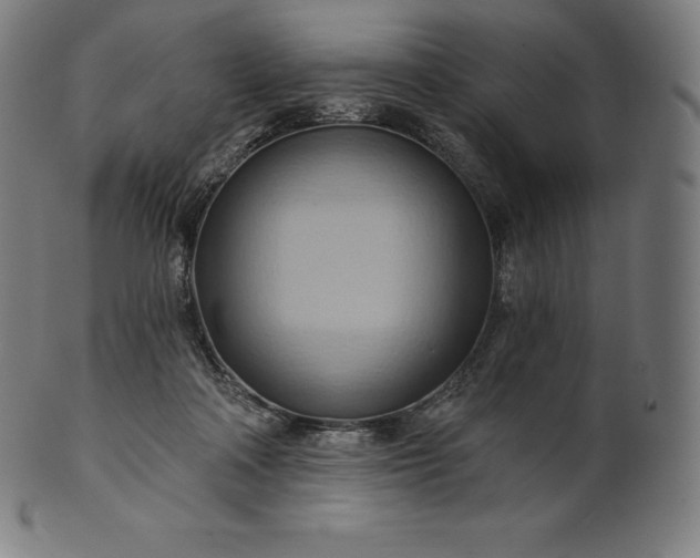 X0000101210314200807111039