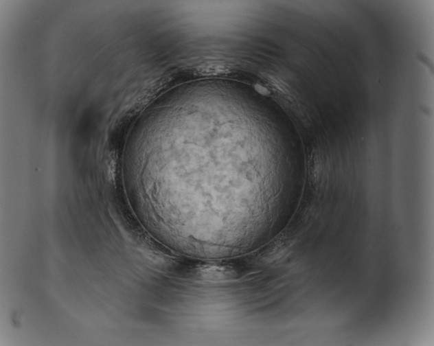 X0000101210315200807111039