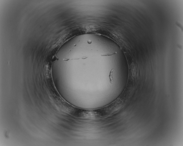 X0000101210316200807111039