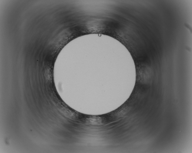 X0000101210317200807111039