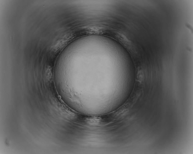 X0000101210318200807111039