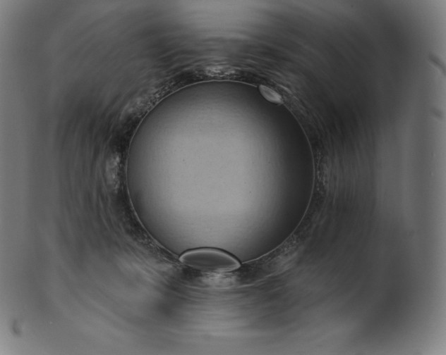 X0000101210319200807111039