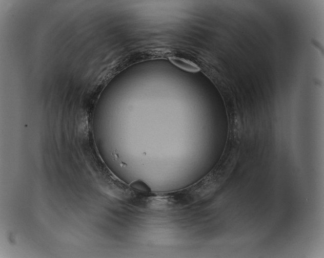 X0000101210320200807111039