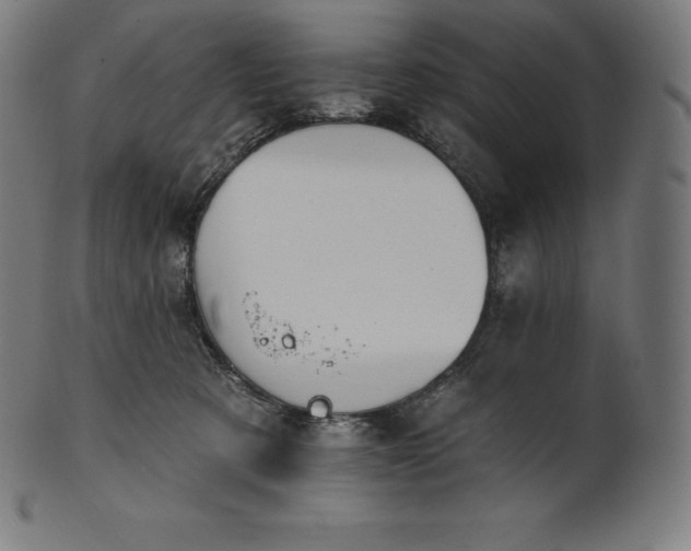 X0000101210321200807111039