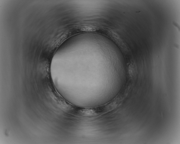 X0000101210322200807111039