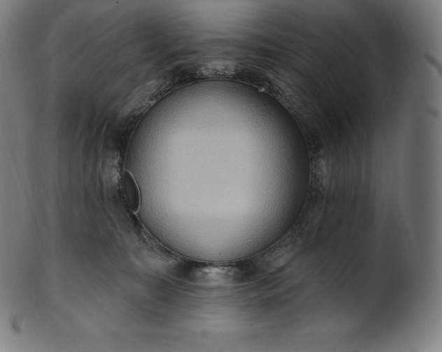 X0000101210323200807111039