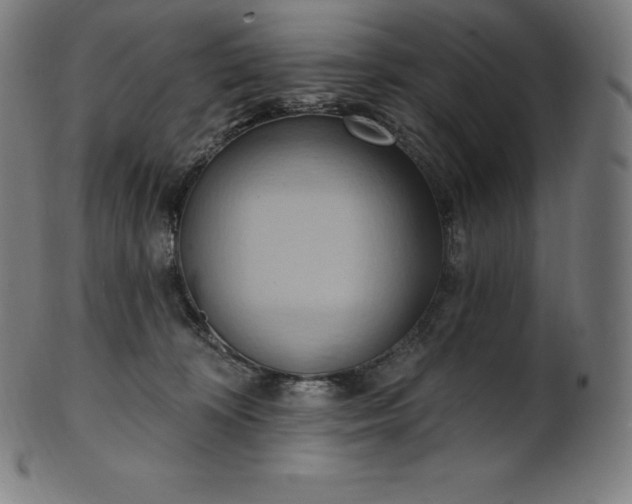 X0000101210324200807111039