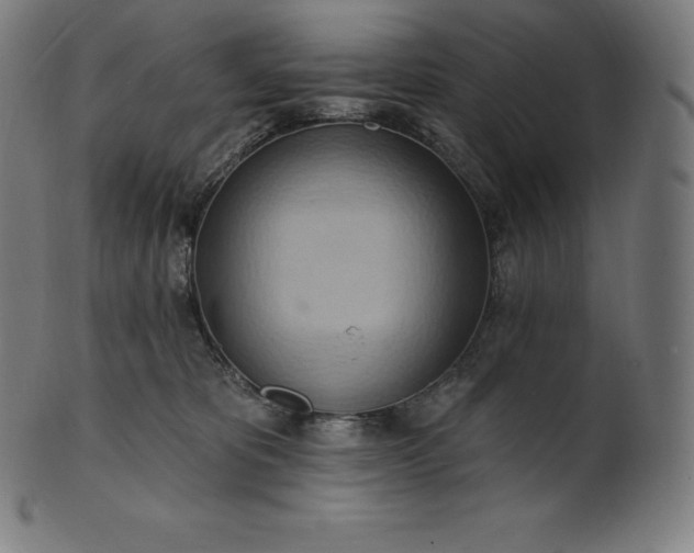 X0000101210325200807111039