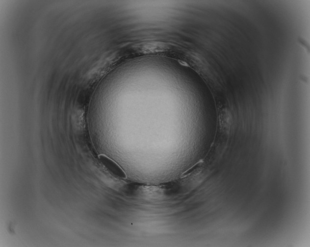 X0000101210327200807111039