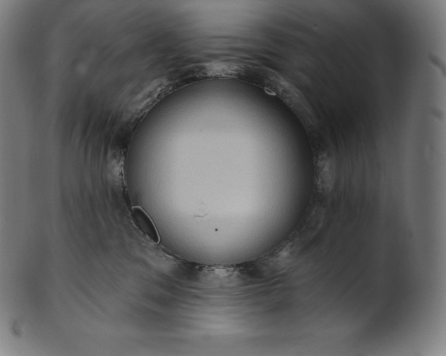 X0000101210329200807111039