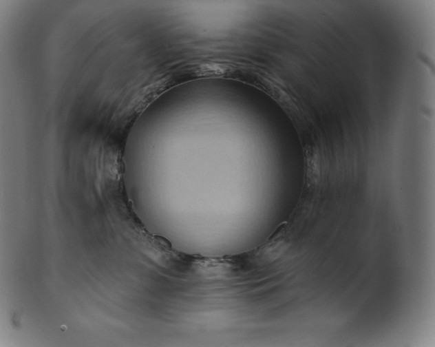 X0000101210331200807111039