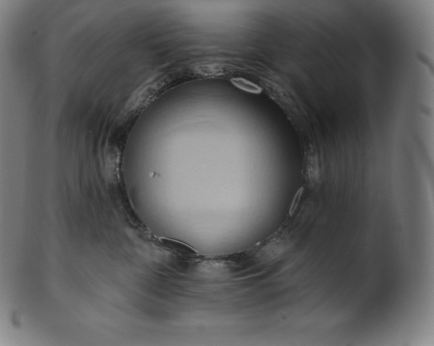 X0000101210332200807111039