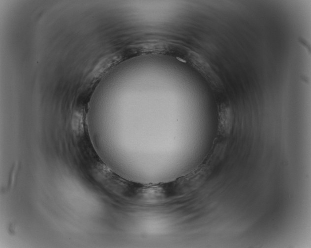 X0000101210333200807111039