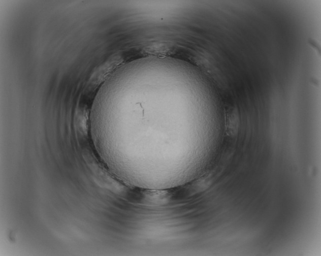 X0000101210334200807111039