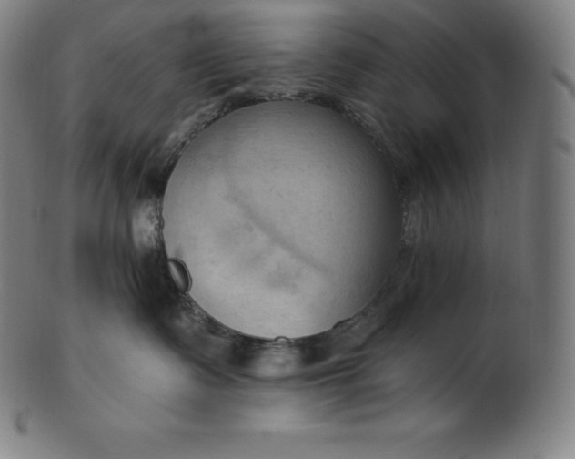 X0000101210335200807111039