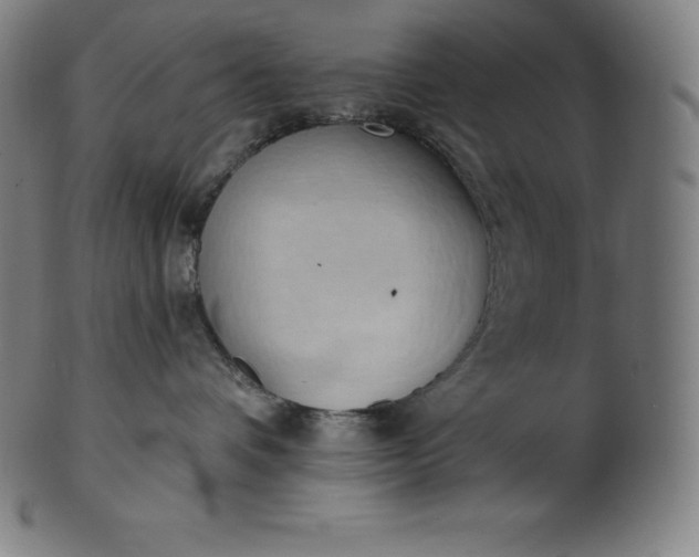 X0000101210336200807111039