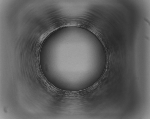 X0000101210337200807111038