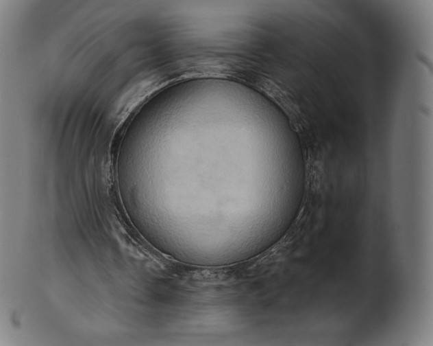 X0000101210338200807111038