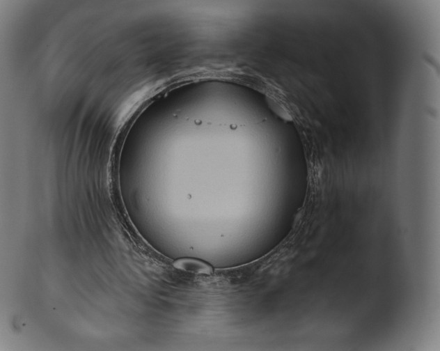 X0000101210340200807111038