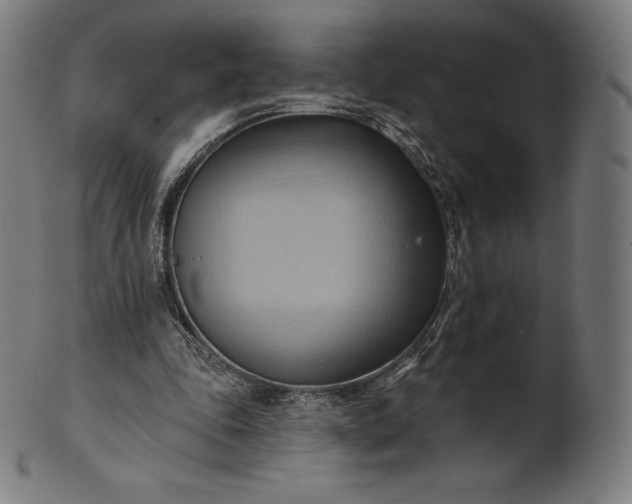 X0000101210343200807111038