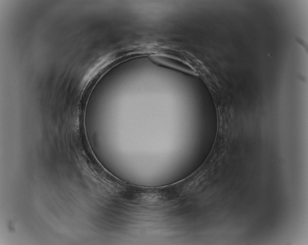 X0000101210344200807111038