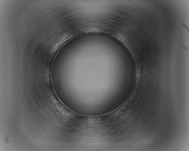 X0000101210345200807111038