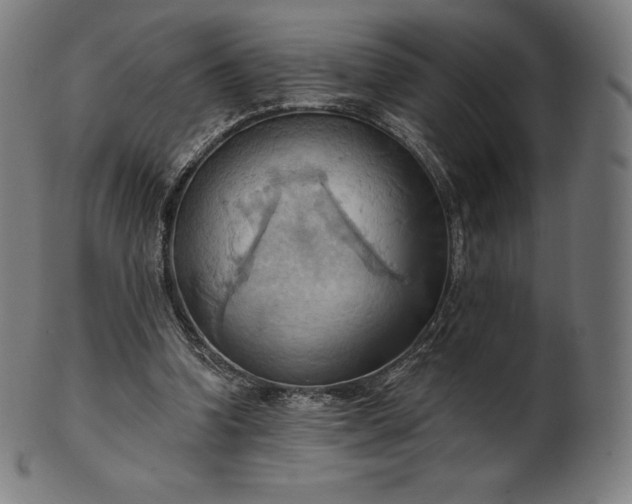 X0000101210346200807111038