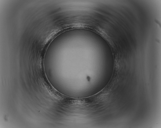 X0000101210347200807111038