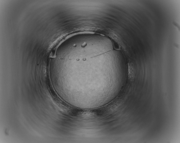 X0000101210348200807111038