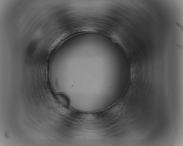 X0000101210349200807111038