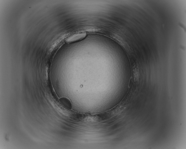 X0000101210350200807111038