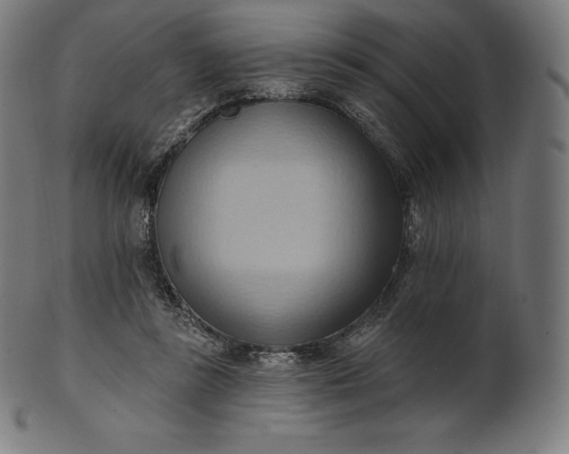 X0000101210355200807111038