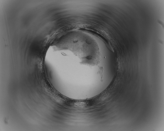 X0000101210357200807111038