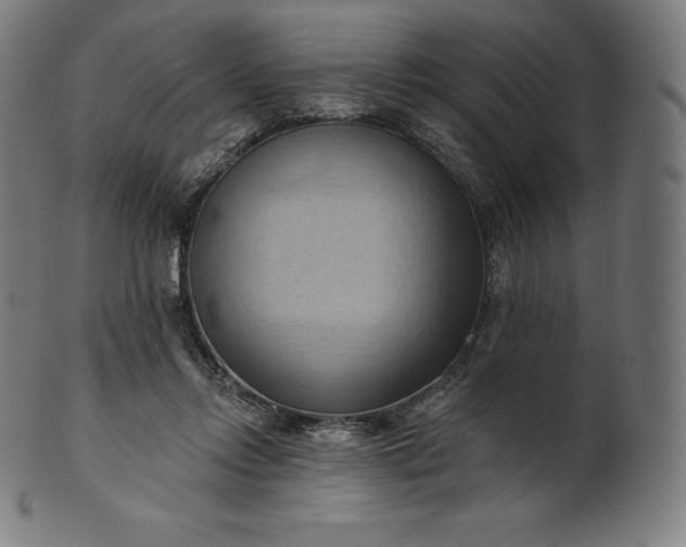 X0000101210358200807111038