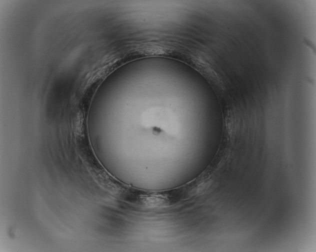 X0000101210359200807111038