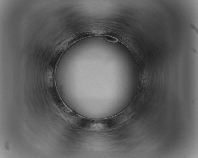 X0000101210360200807111038