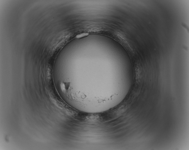 X0000101210362200807111039