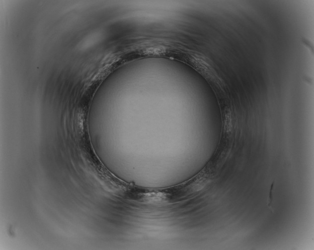 X0000101210363200807111039