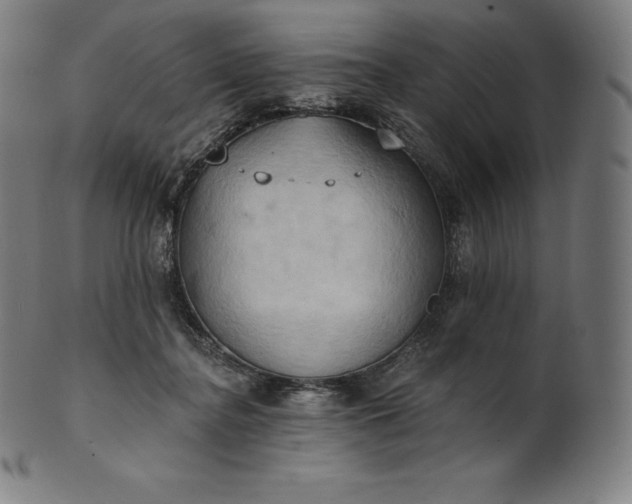 X0000101210364200807111039