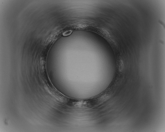 X0000101210366200807111039