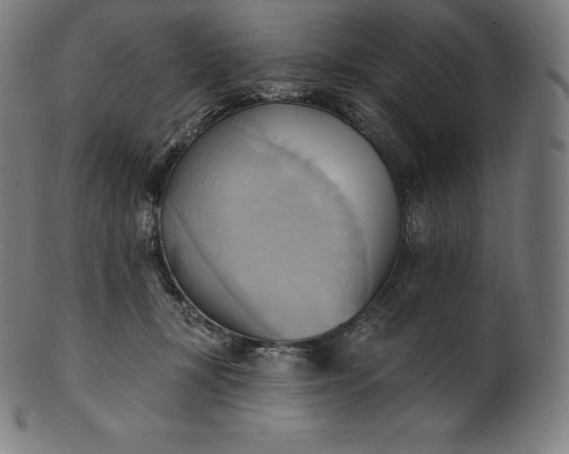 X0000101210367200807111039