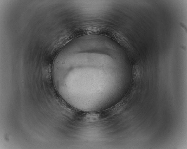 X0000101210369200807111039