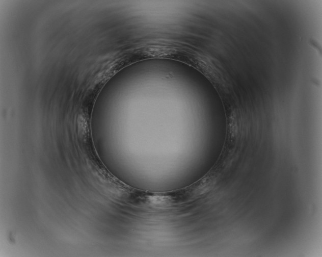 X0000101210371200807111039