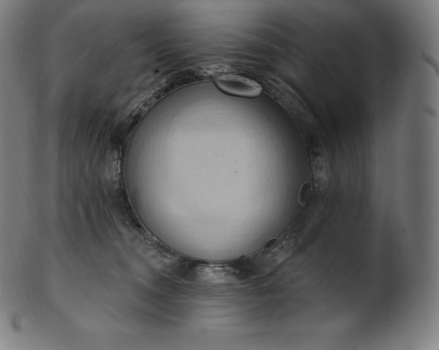 X0000101210372200807111039