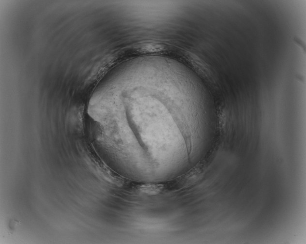 X0000101210373200807111039