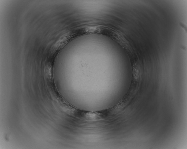 X0000101210375200807111039