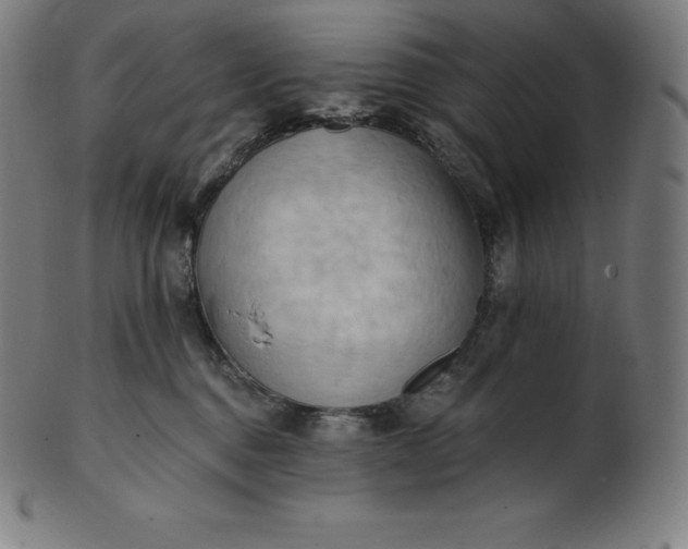 X0000101210376200807111039